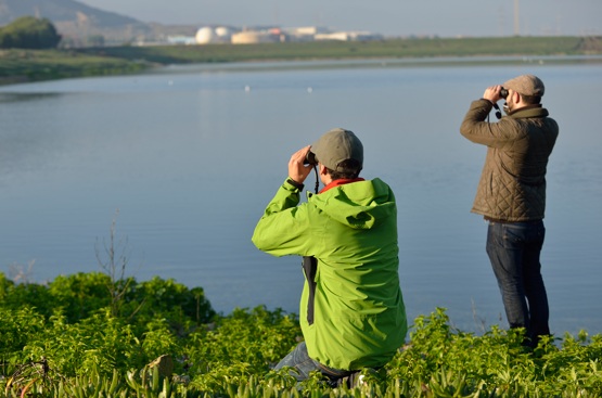 Ir a la noticia Día Mundial del Medio Ambiente: Proteger la naturaleza, reduciendo nuestro impacto en los ecosistemas