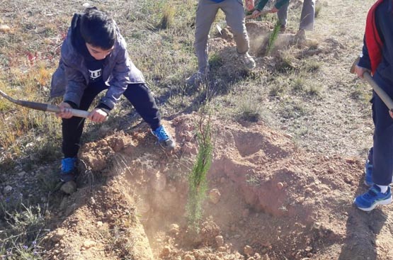Ir a la noticia Hidrogea y la Asociación de Vecinos de Campillo de Adentro contribuyen a frenar el cambio climático
