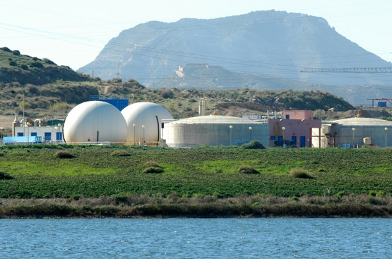 Ir a la noticia SUEZ lanza el programa BiObserva ‘STOP-invasoras’ para el control de especies invasoras en sus instalaciones