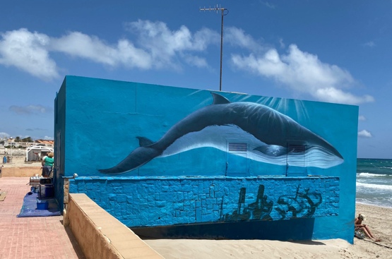 Ir a la noticia Pinturas paisajísticas para mejorar el exterior de los bombeos de La Manga y embellecer el entorno