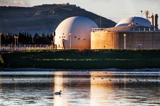 Ir a la noticia Hidrogea reduce su huella de carbono en más de 1.400 toneladas de CO2 durante el año 2024