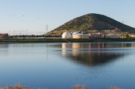Ir a la noticia El Ministerio incluye las lagunas de Cabezo Beaza en un inventario nacional de humedales