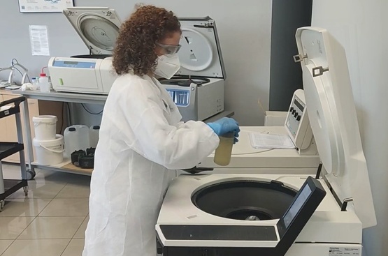 Ir a la noticia La monitorización de COVID-19 en aguas residuales incluye la detección de la nueva cepa ómicron